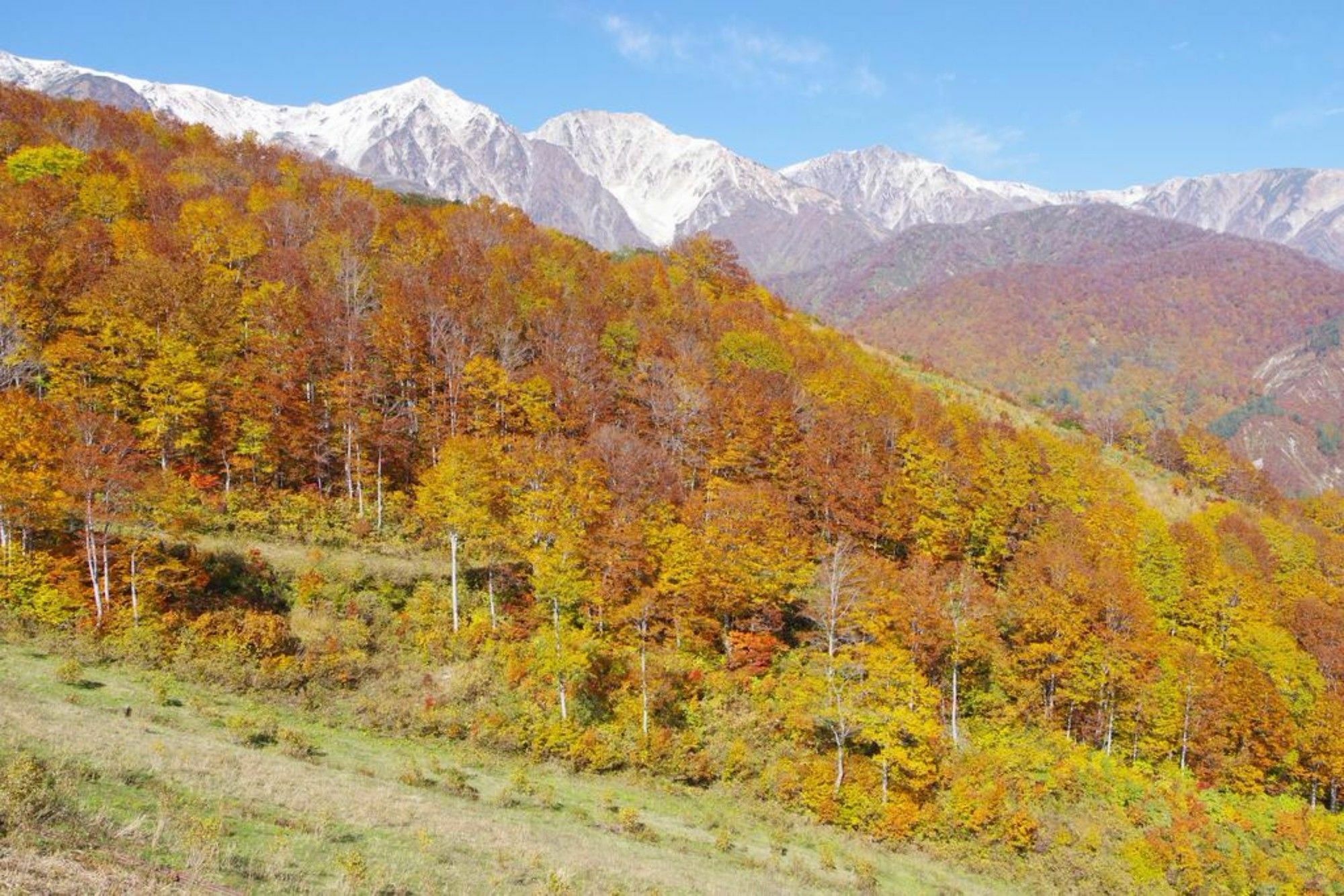 Hakuba Ski-Kan Exterior photo